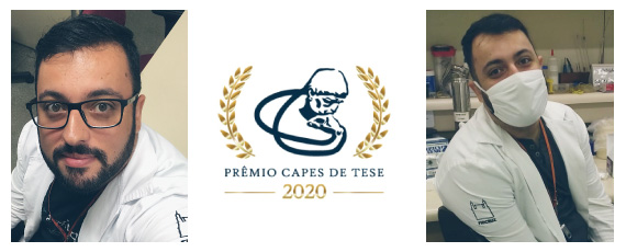 montagem fotos logo premio capes2020 2